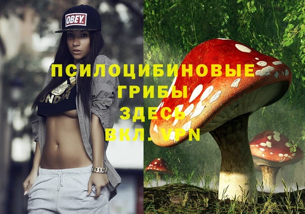 ПСИЛОЦИБИНОВЫЕ ГРИБЫ Алексеевка